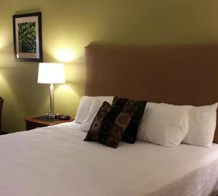 Wingfield Inn Mayfield Room photo